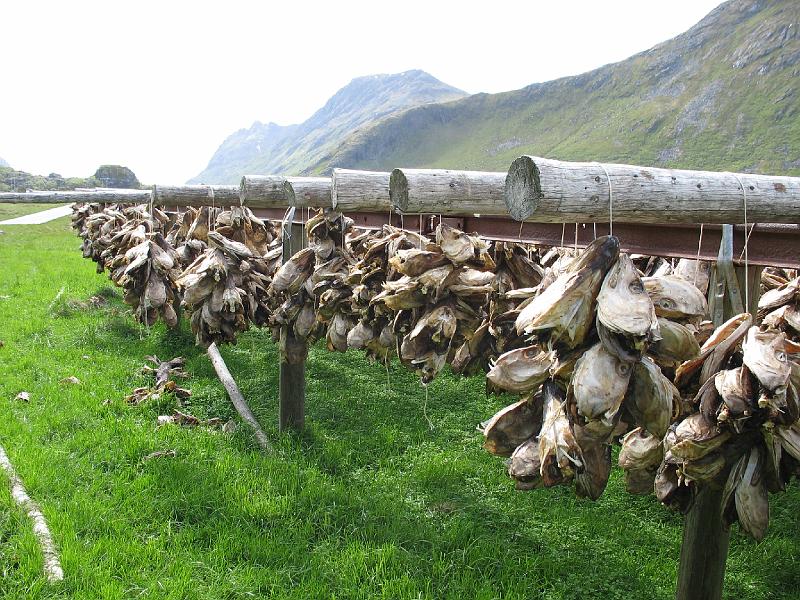 Noordkaap 2006 deel 2 167.jpg